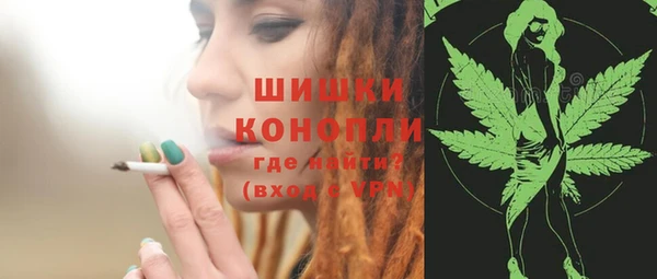 ПСИЛОЦИБИНОВЫЕ ГРИБЫ Новодвинск