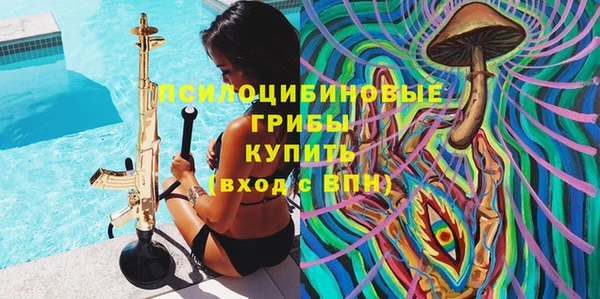 ПСИЛОЦИБИНОВЫЕ ГРИБЫ Новодвинск