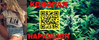 мдпв Татарск