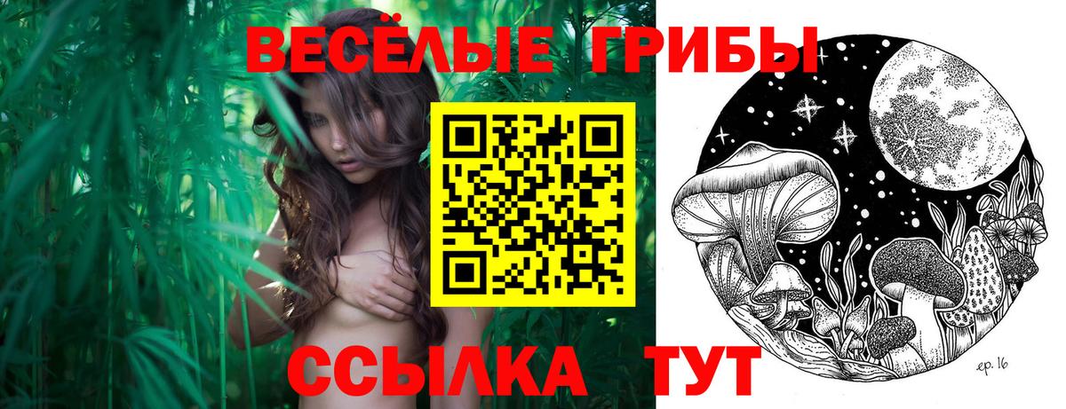 Галлюциногенные грибы ЛСД  Вход с VPN  Псилоцибиновые грибы Psilocybine cubensis  Старая Русса 